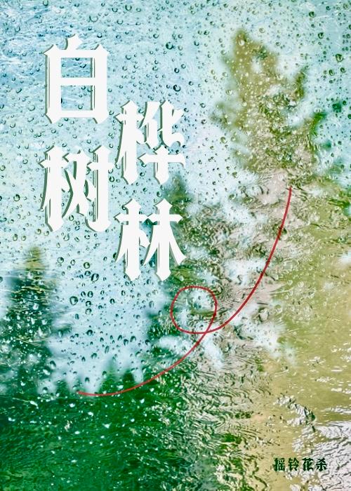 白桦树林