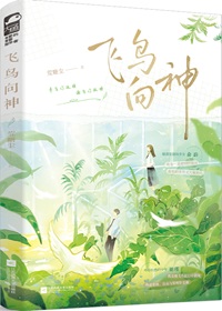 飞鸟向神