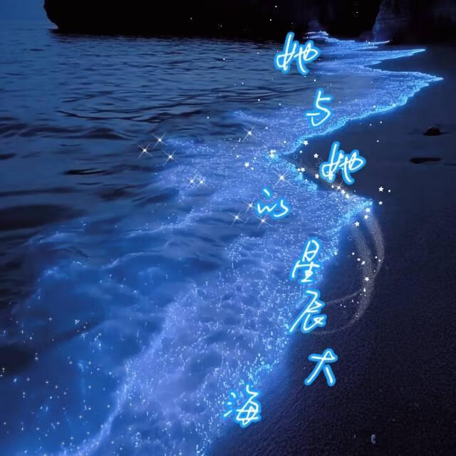 她与她的星辰大海