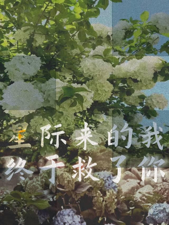 星际来的我终于救了你