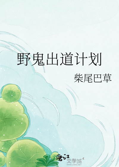 野****划