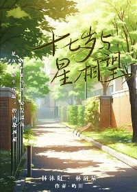 十七岁与星相望
