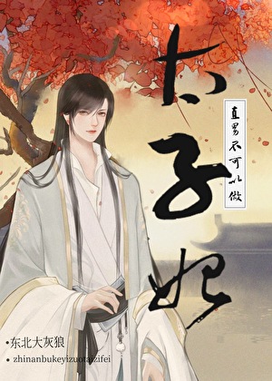 直男不可以做太子妃!