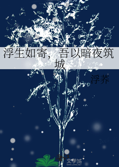 浮生如寄，吾以暗夜筑城