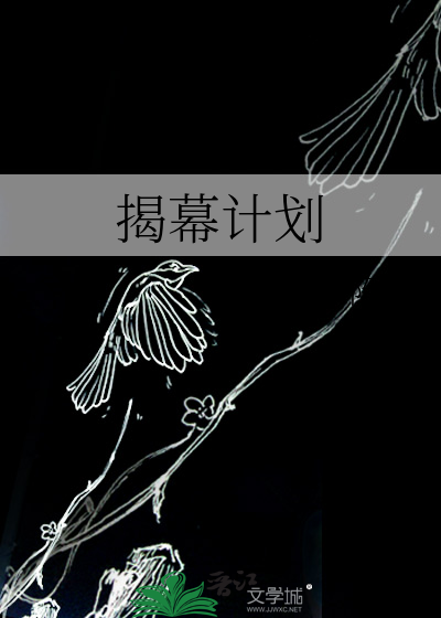 揭幕计划