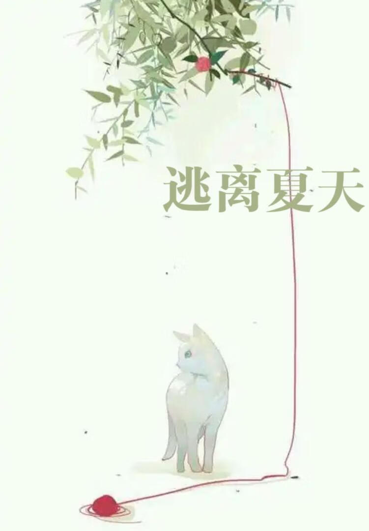 逃离夏天