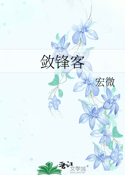 敛锋客
