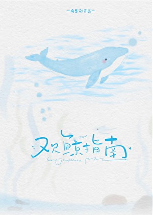 观鲸指南