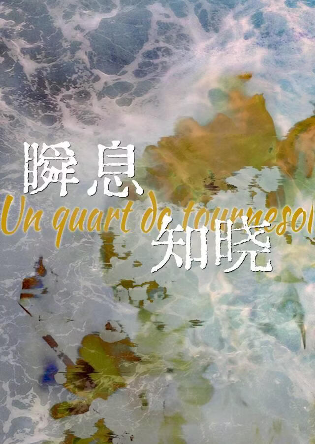瞬息知晓