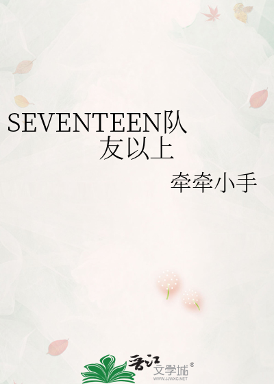 SEVENTEEN队友以上