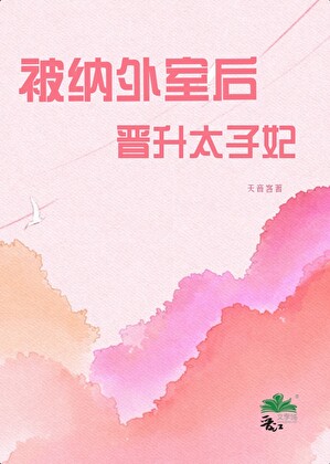 被纳外室后晋升太子妃