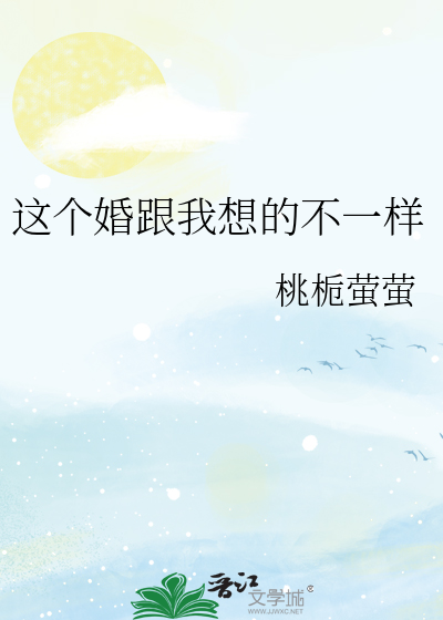 这个婚跟我想的不一样
