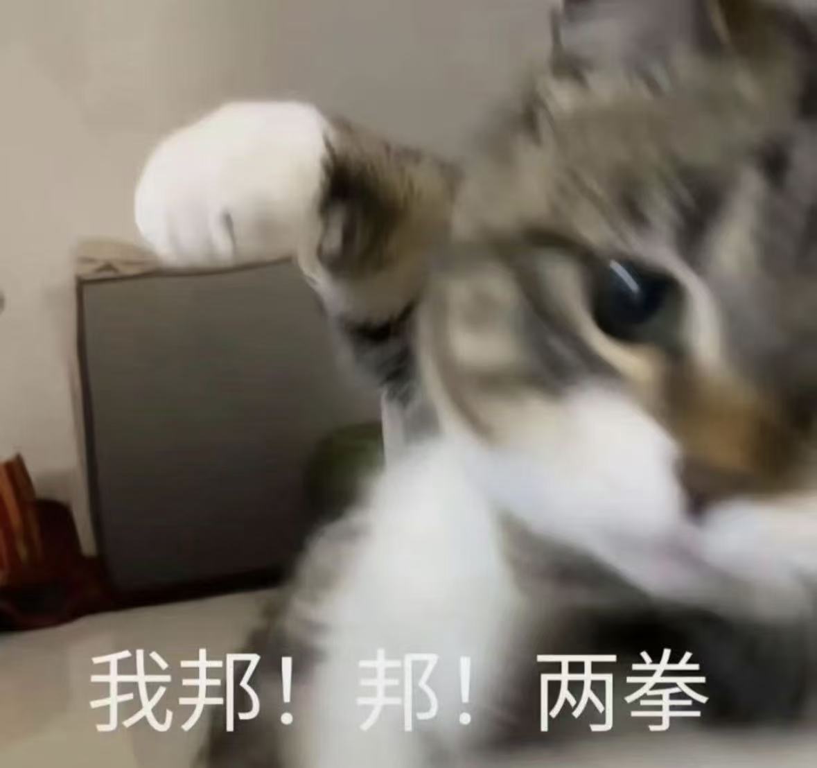 【复联+hp】冬日战士像猫猫