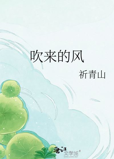 吹来的风
