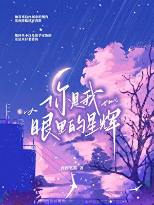 你是我眼里的星辉