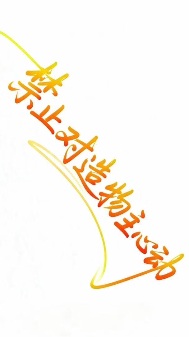 禁止对造物主心动