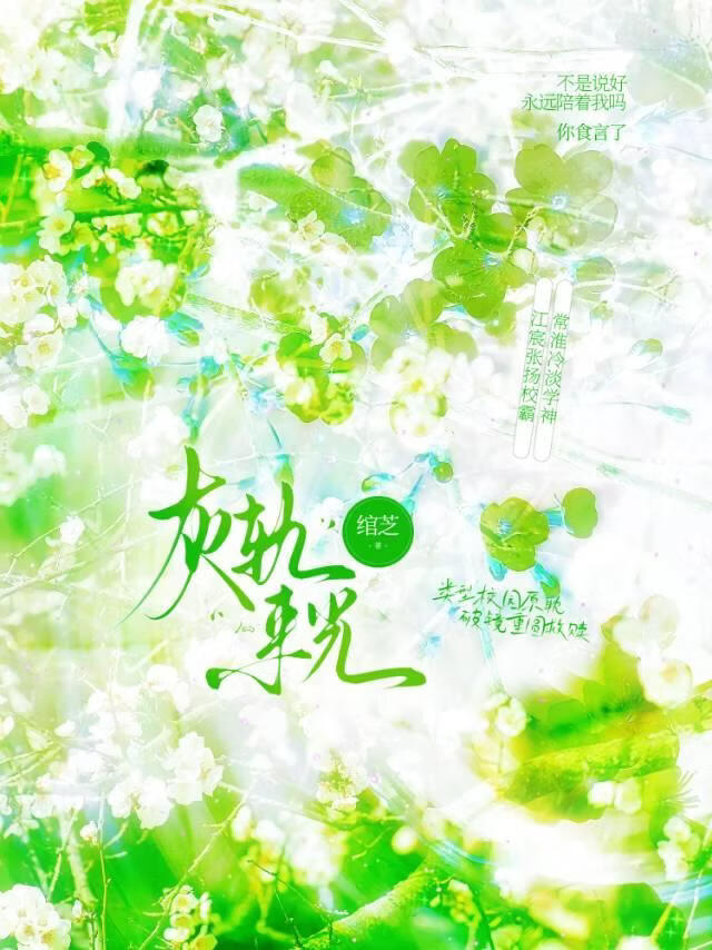 灰轨来光