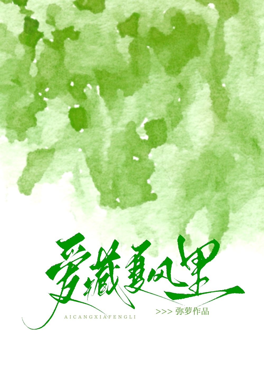 爱藏夏风里