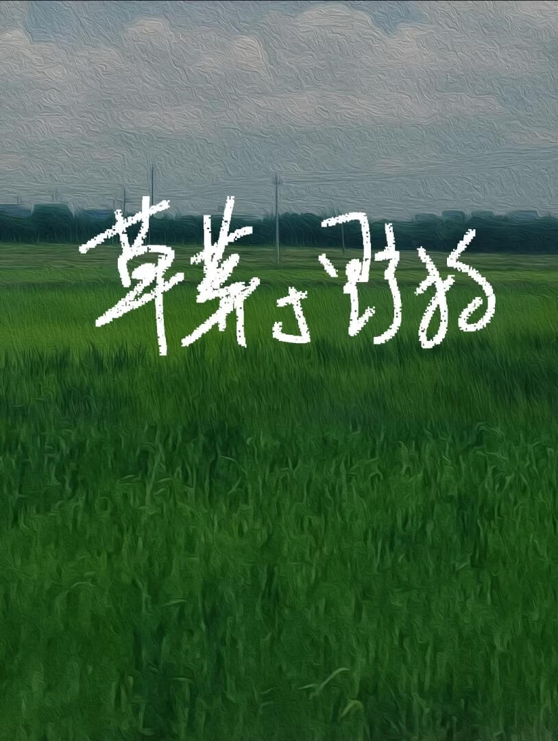 草莽与野狗