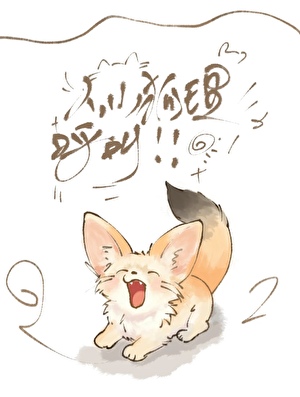 小狐狸饲养手册