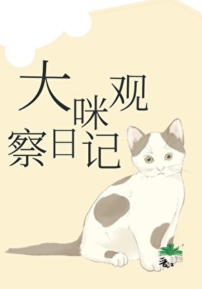胆小大咪观察日记