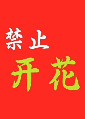 白切黑向导她有点强