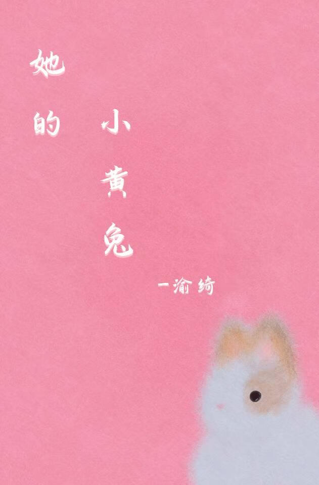 她的小黄兔