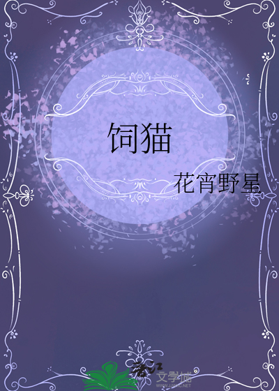 饲猫
