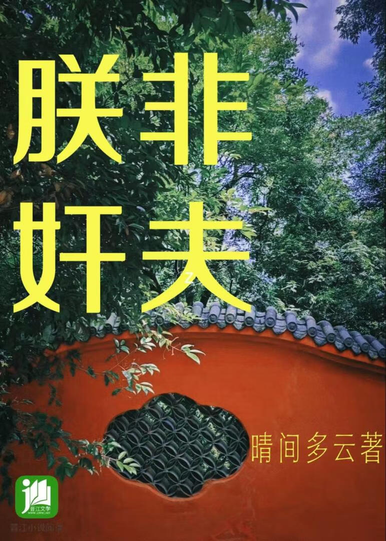 朕非奸夫！
