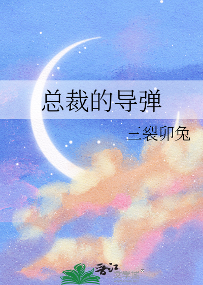总裁的导弹