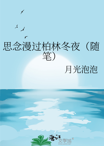 思念漫过柏林冬夜（随笔）