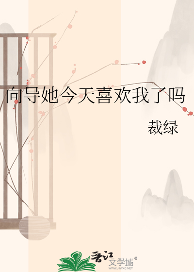 向导她今天喜欢我了吗
