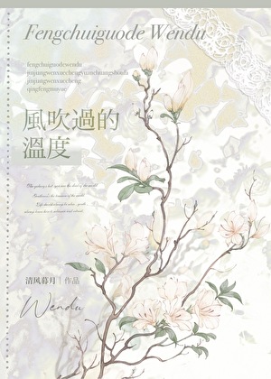 风吹过的温度［破镜重圆］