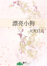 漂亮小狗