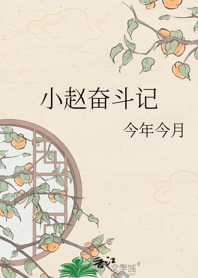 小赵奋斗记