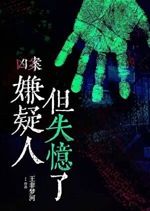 凶案嫌疑人，但失忆了[刑侦]