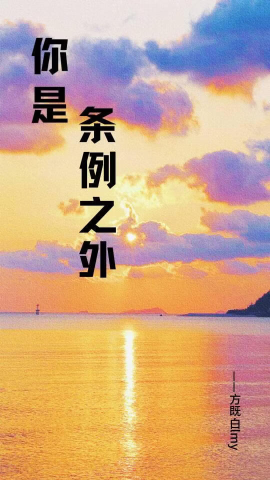 你是条例之外[刑侦]