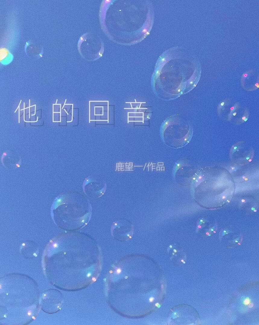他的回音