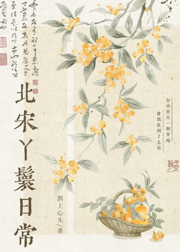 北宋丫鬟日常