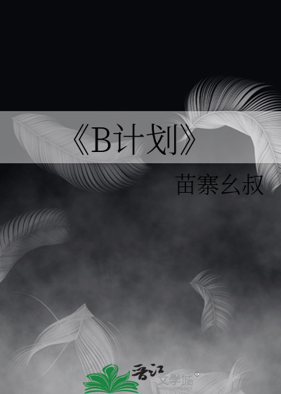 《B计划