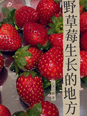 野草莓生长的地方