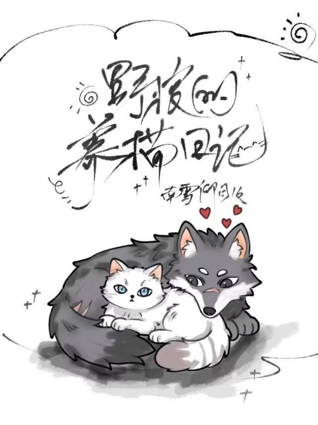 野狼的养猫日记
