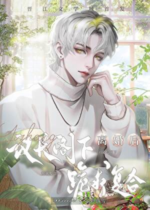 和联邦议长结婚后